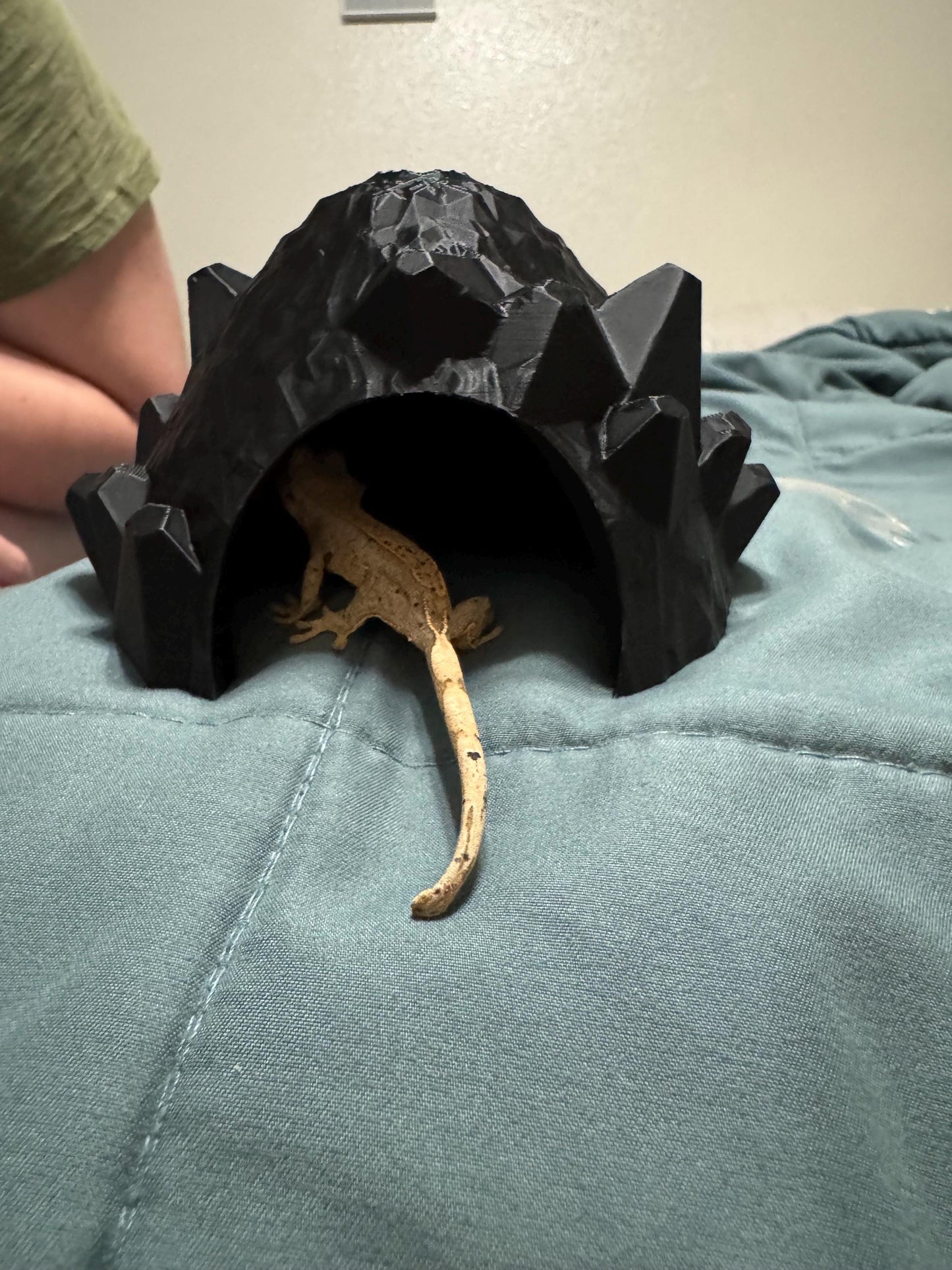 Dragon Egg Reptile Hide