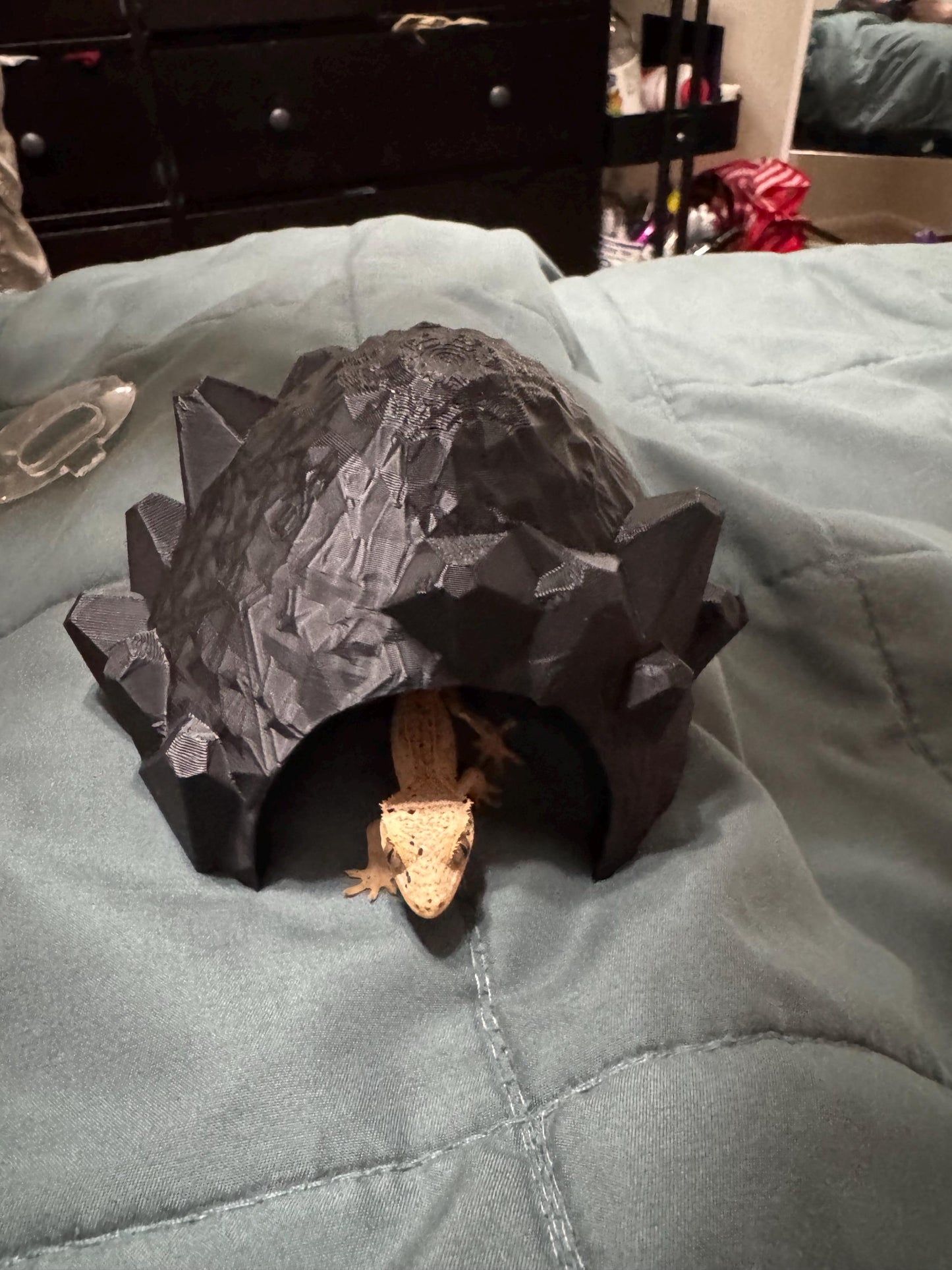 Dragon Egg Reptile Hide