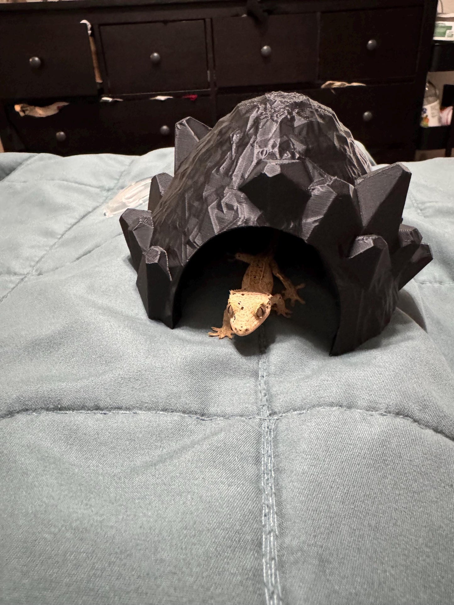 Dragon Egg Reptile Hide