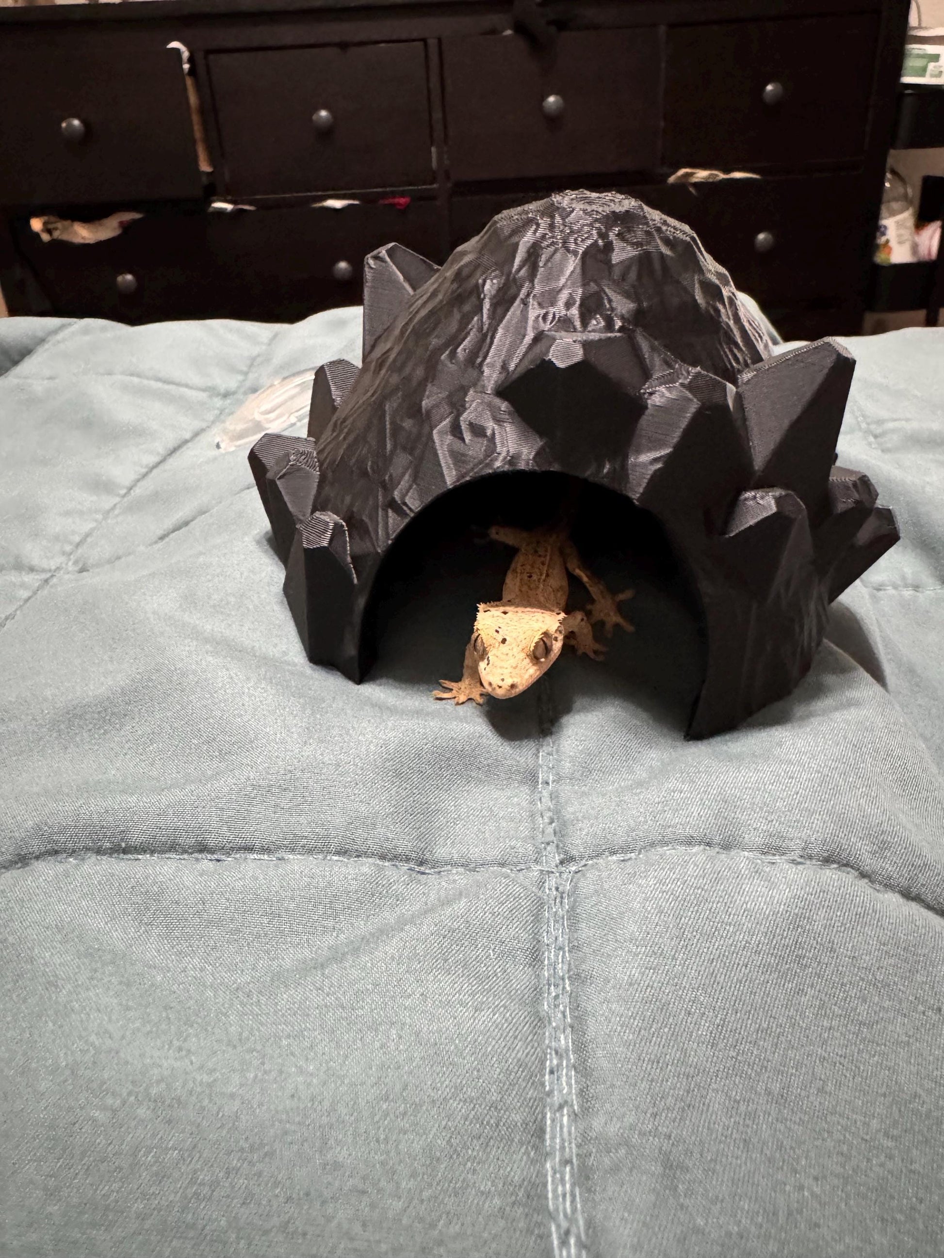 Dragon Egg Reptile Hide